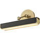 Valise Picture 11 watt 13.8 inch Vintage Brass and Tuxedo Leather Picture Light Wall Light